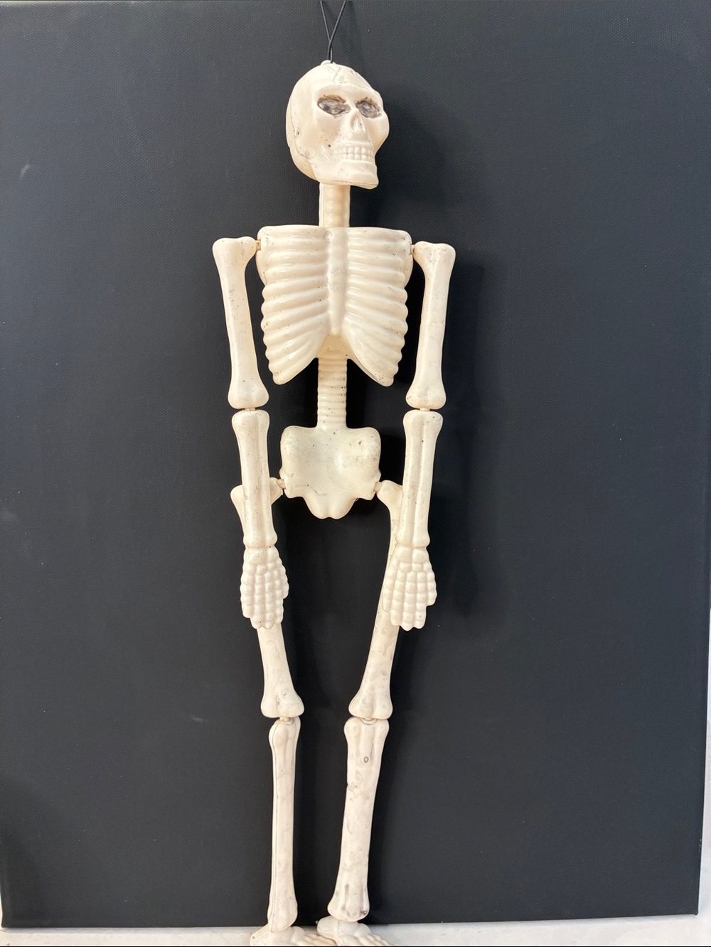 Decorative Hanging Skeleton - Cream Halloween Home Accent